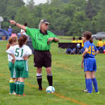 Click for full size image