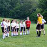 Click for full size image