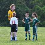 Click for full size image