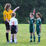 Click for full size image