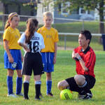 Click for full size image