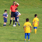 Click for full size image