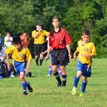 Click for full size image