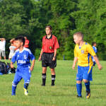 Click for full size image