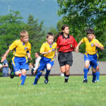 Click for full size image