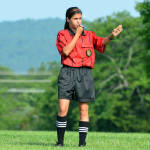 Click for full size image