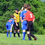 Click for full size image