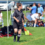 Click for full size image