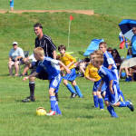 Click for full size image