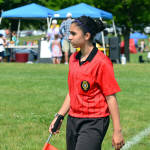 Click for full size image