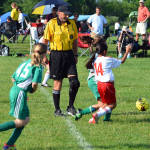 Click for full size image