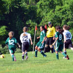 Click for full size image