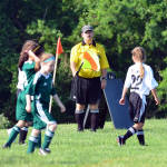 Click for full size image