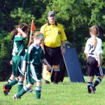 Click for full size image