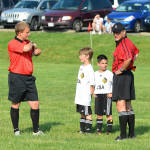 Click for full size image