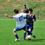 Click for full size image